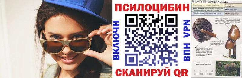 как найти   Невель  kraken ССЫЛКА  Галлюциногенные грибы Psilocybe 